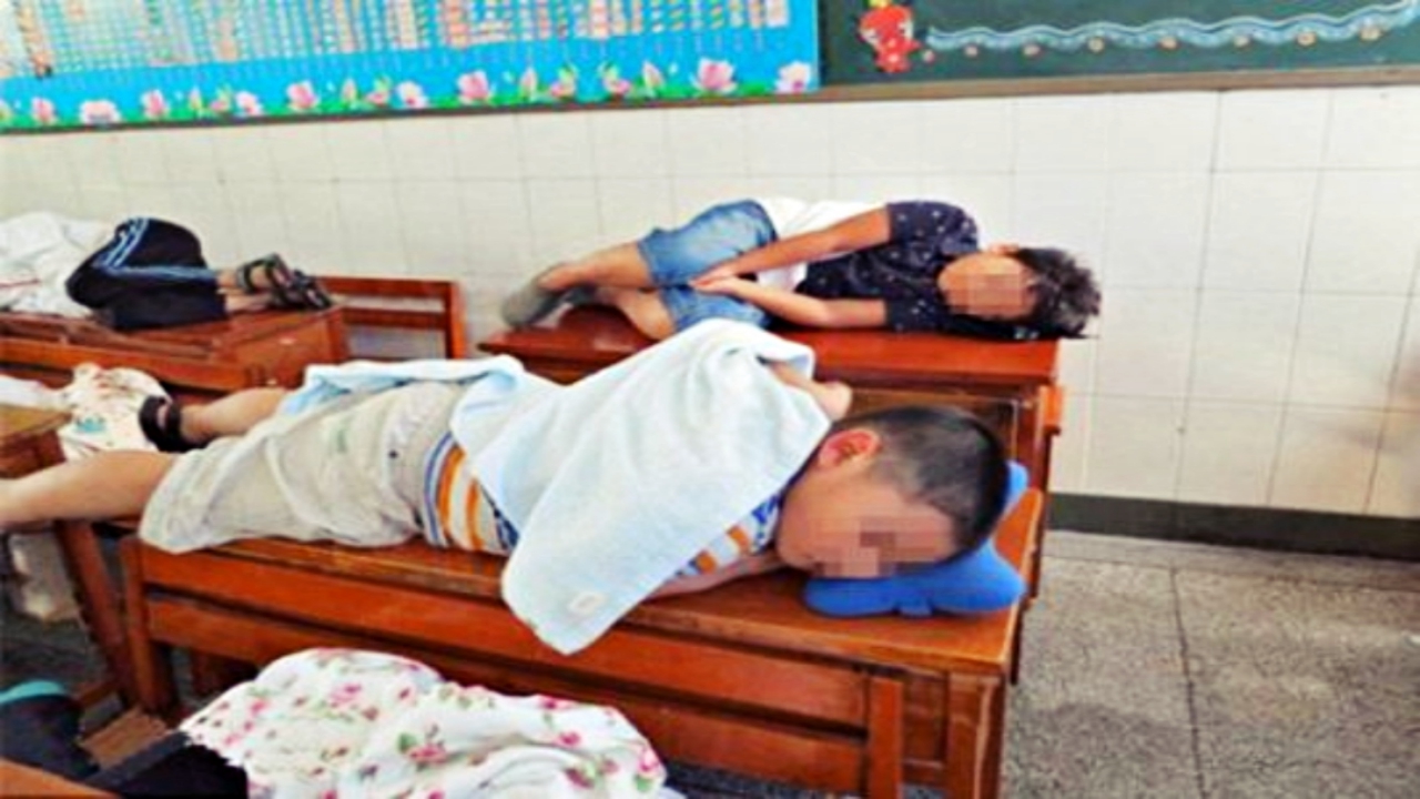 elementary-students-taking-a-nap