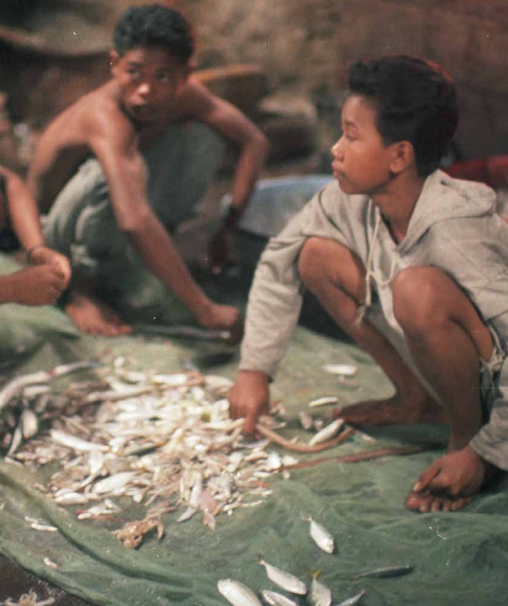 Child labor for fish